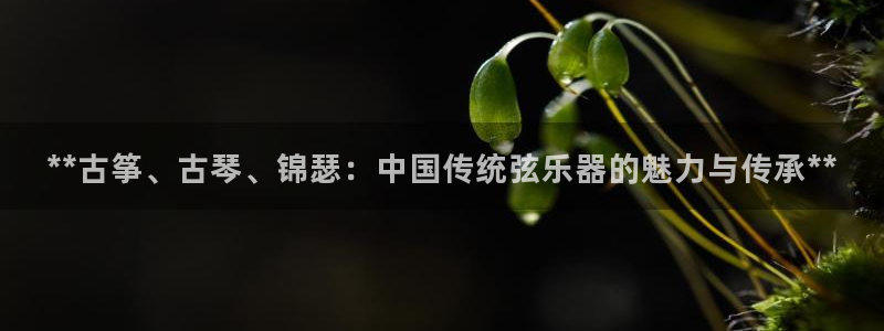 凯发国际娱乐官网k8