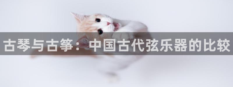 凯发k8娱乐现在还有吗