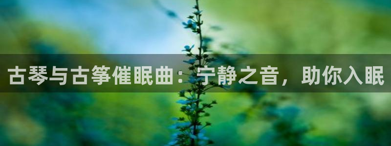 凯发网娱乐官网国际