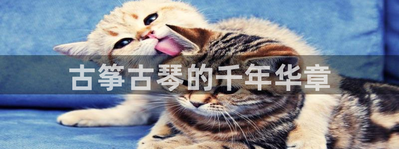 凯发k8是不是真的可靠