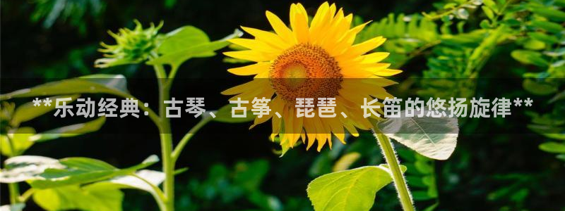 凯发国际网站首页