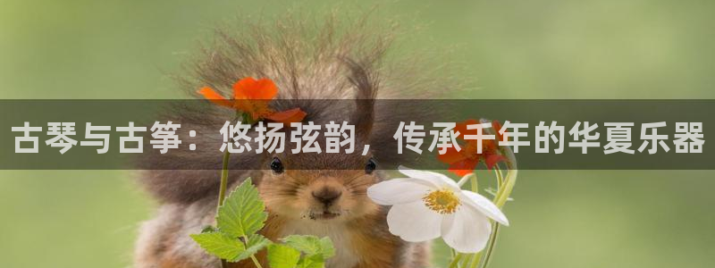 凯发k8官方网娱乐官方真