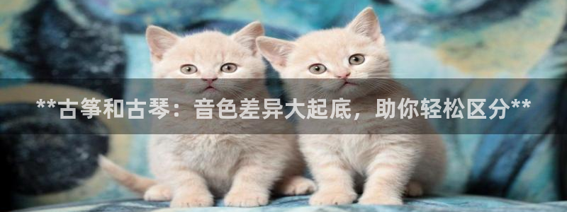 k8凯发国际首页