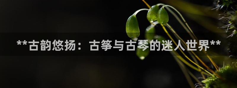 凯发线上app苹果版下载