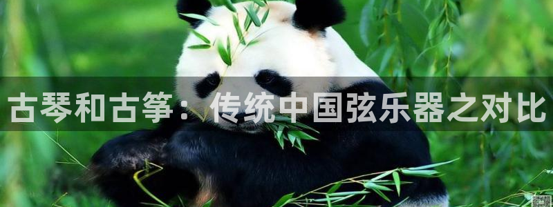 凯发国际网站官网