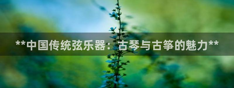 凯发平台医7O777