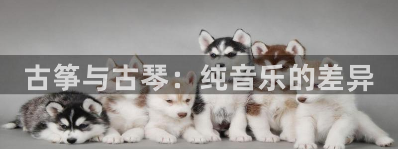 凯发k8娱乐网址多少