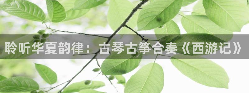凯发平台开户