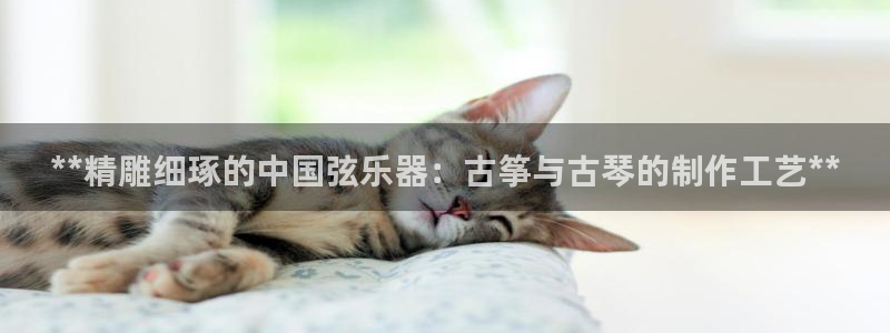 凯发娱乐官方网站