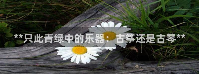 凯发k8手机是正品吗