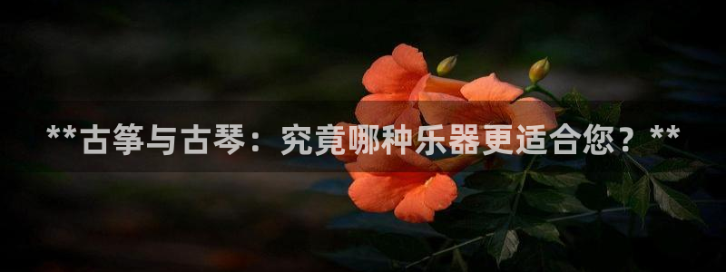凯发k8娱乐官网最新版本