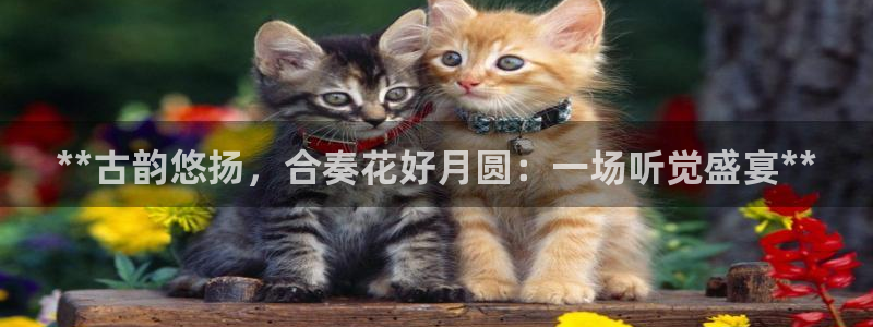 凯发K8天生赢家一触即发