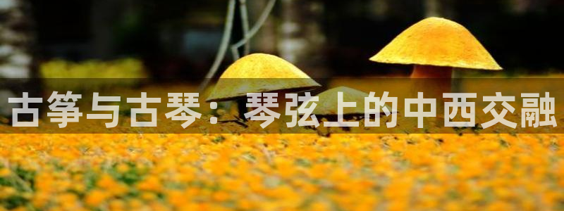 凯发k8娱乐是哪个国家的