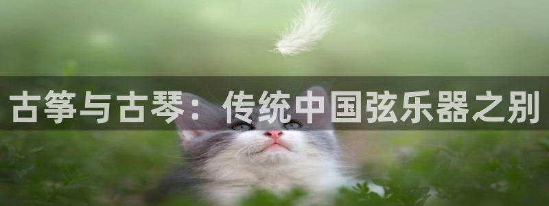 凯发官网手机app