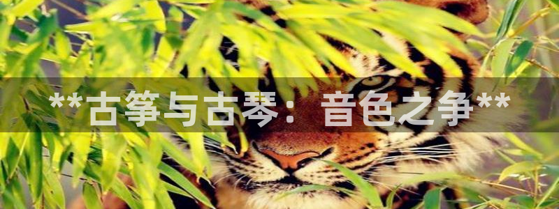 凯发k8娱乐是什么平台