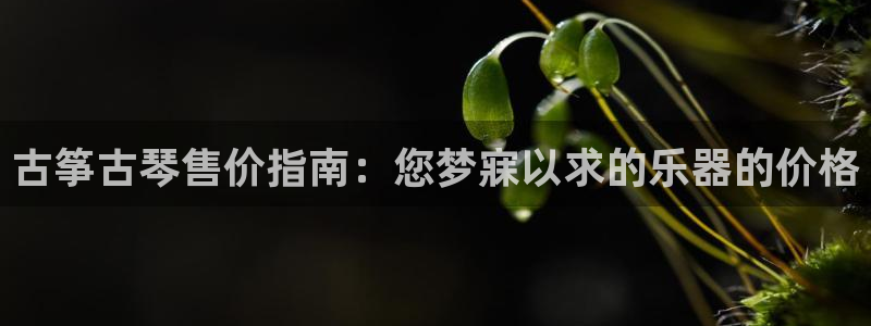 凯发官网网址多少