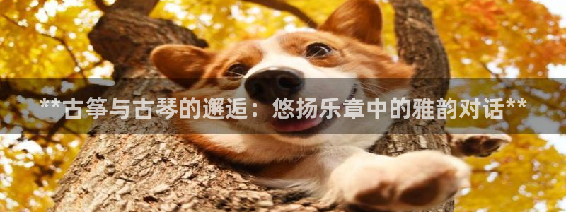 凯发旗舰厅官网：**古筝与古琴的邂逅：悠扬乐章中的雅韵对话*