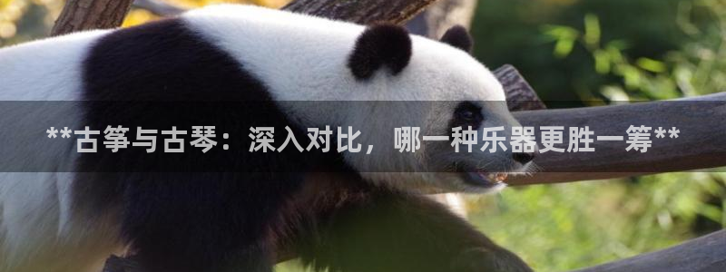l凯发国际官网：**古筝与古琴：深入对比，哪一种乐器更胜一筹