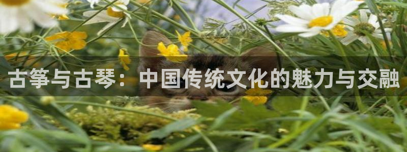 凯发官网手机app