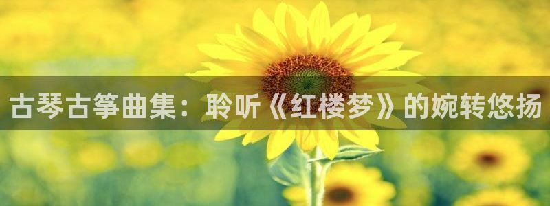 凯发平台k8
