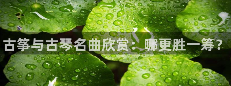 凯发k8娱乐真人旗舰厅客服