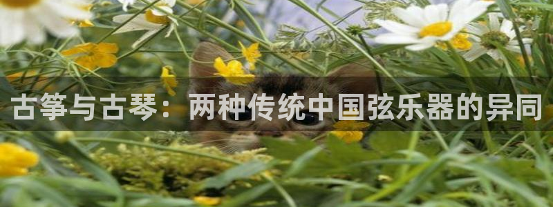 凯发手机官网
