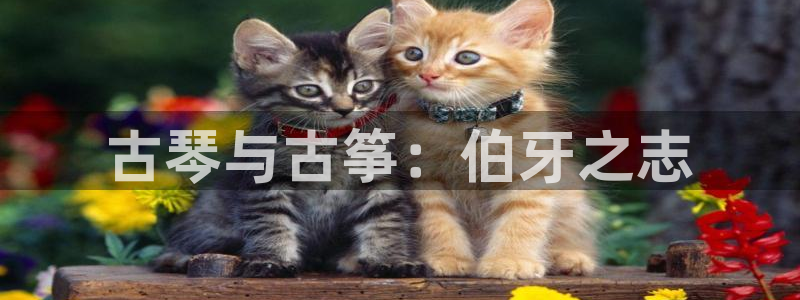 凯发手机客户端下载