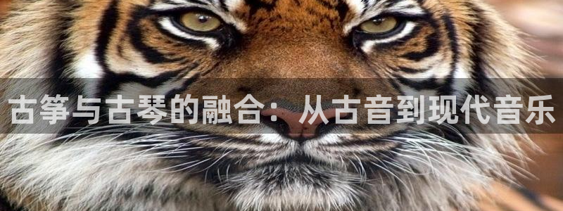 凯发娱乐官方网