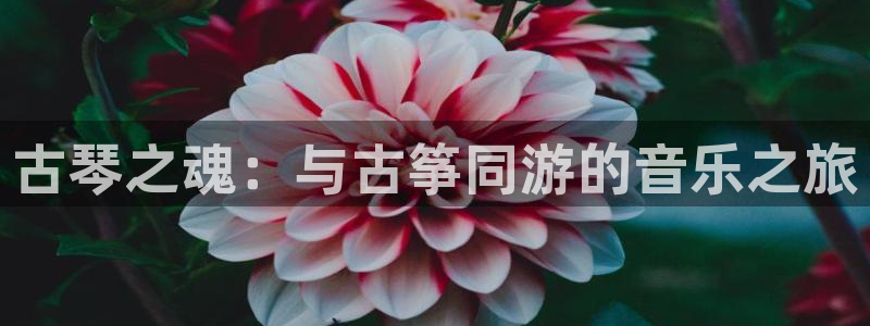 凯发k8网站是多少