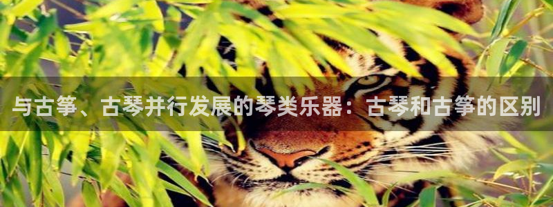 国际凯发k8真人版旗舰厅