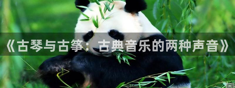 凯发唯一官方网站：《古琴与古筝：古典音乐的两种声音》