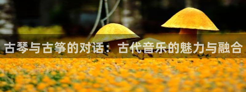 凯发k8娱乐官网最新版本：古琴与古筝的对话：古代音乐的魅力与