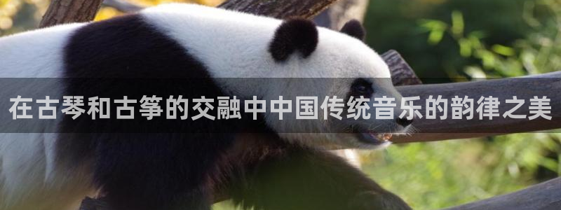 凯发国际app下载：在古琴和古筝的交融中中国传统音乐的韵律之