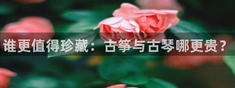 凯发手机官网：谁更值得珍藏：古筝与古琴哪更贵？