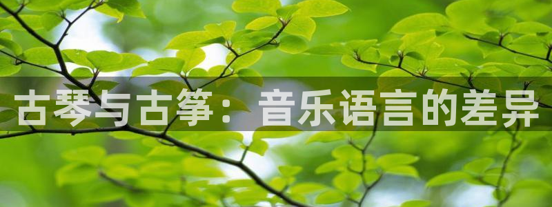 凯发k8是真是假