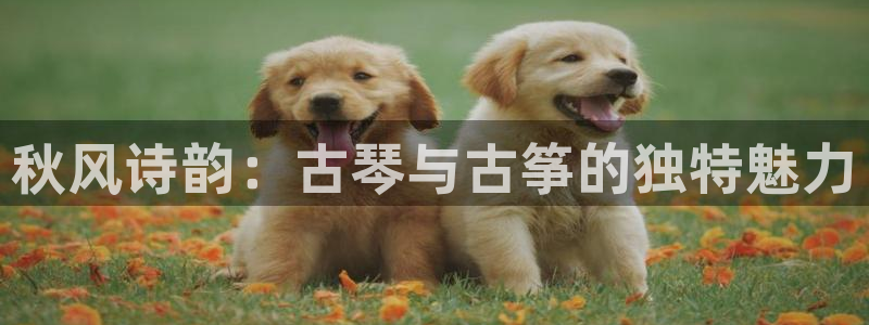 凯发手机官网客户端