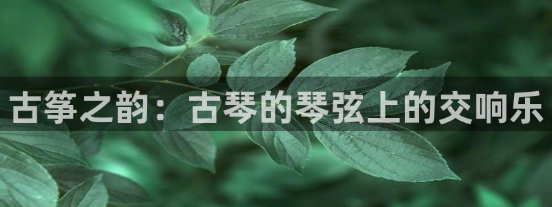 凯发手机客户端下载