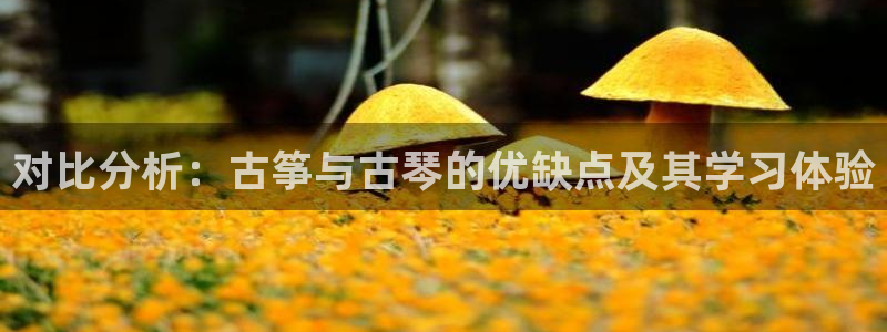 凯发k8国际真人娱乐旗舰厅