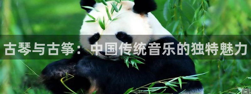 凯发娱乐k8国际