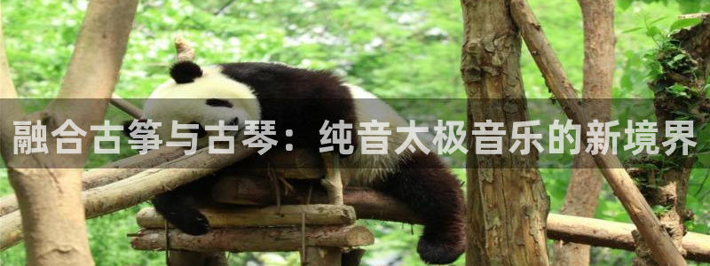 k8凯发国际首页：融合古筝与古琴：纯音太极音乐的新境界