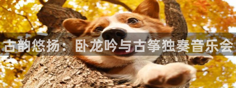 凯发旗舰厅网站