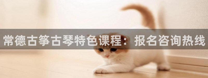 凯发k8娱乐官网网址中心：常德古筝古琴特色课程：报名咨询热线
