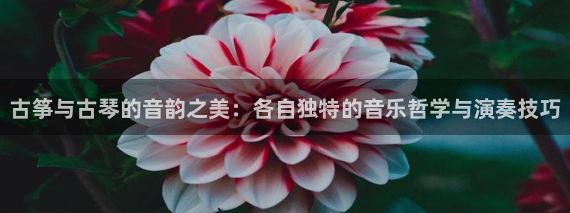凯发网址多少