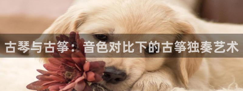 凯发国际官网下载：古琴与古筝：音色对比下的古筝独奏艺术