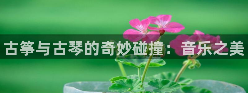 k8凯发国际首页：古筝与古琴的奇妙碰撞：音乐之美