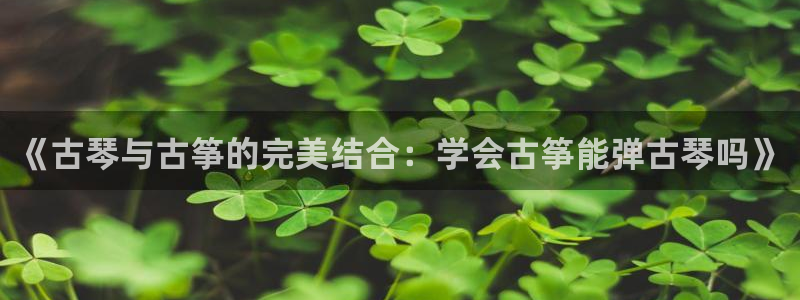 凯发k873：《古琴与古筝的完美结合：学会古筝能弹古琴吗》