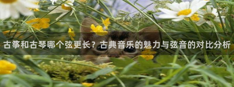 凯发k8国际真人版安全送38元