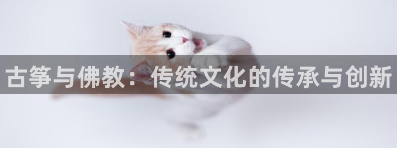 凯发娱网址是什么