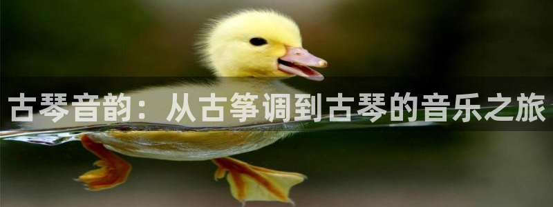 凯发平台轻7O777