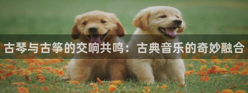 凯发娱乐官方网